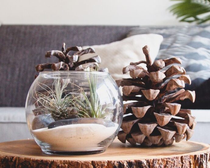 Descenderat terra mundum descenderat