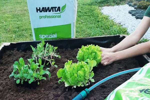 Idealni supstrati za sjetvu i pikiranje Idealni supstrati za sjetvu i pikiranje