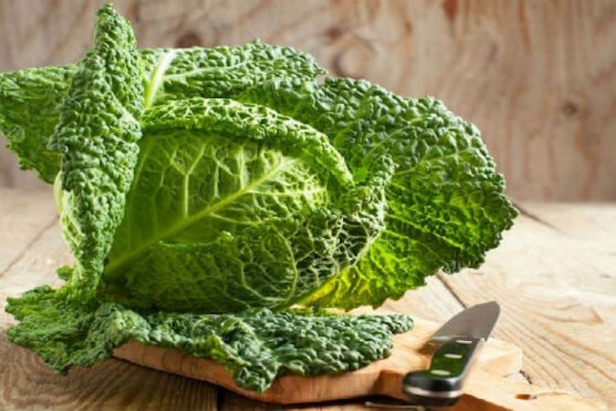 Kelj – hrana za ljepotu i zdravlje Kelj – hrana za ljepotu i zdravlje