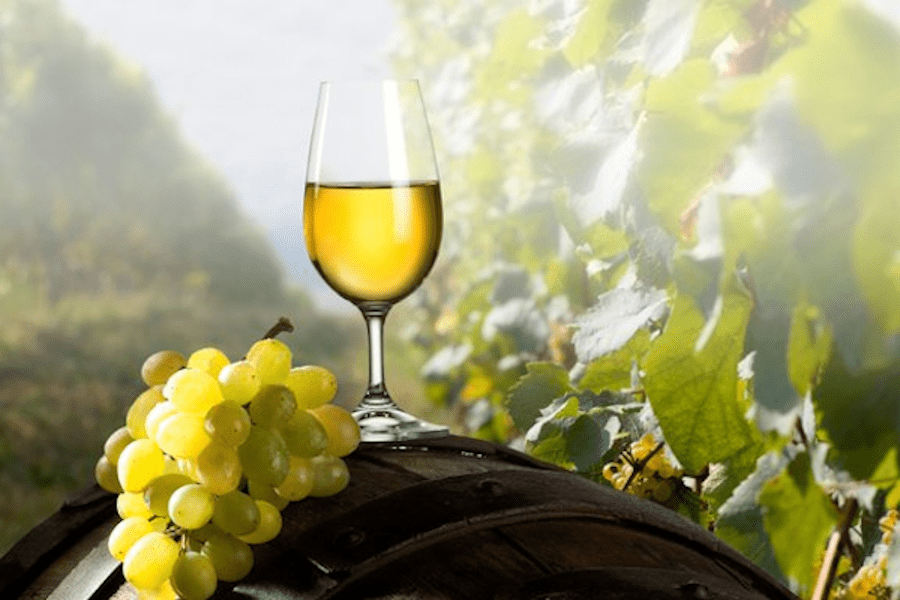 Vrijeme je za pretakanje mladog vina