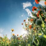 Kako iskoristiti produženi vikend?