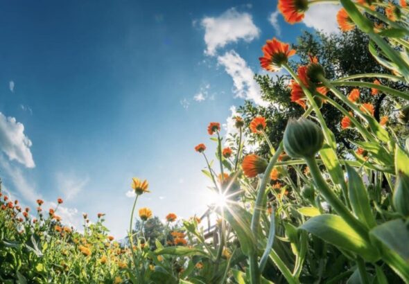 Kako iskoristiti produženi vikend?