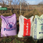 Koja gnojiva koristiti za gnojidbu vinograda?