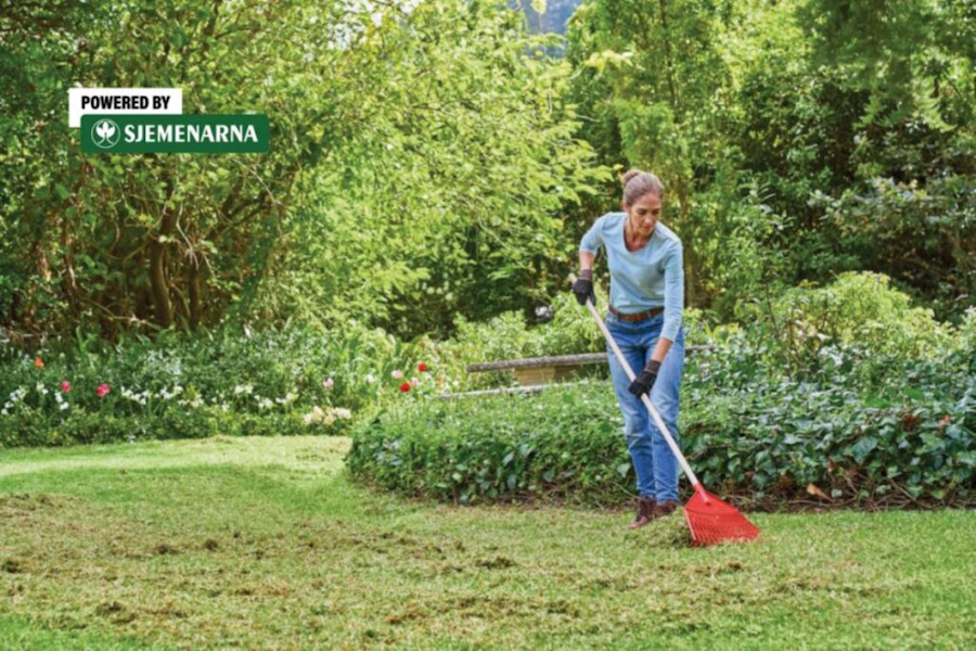 Ako želite gust i zelen travnjak – ovo su prvi proljetni koraci