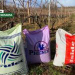 Iskoristite lijepe jesenske dane za pognojiti vinograde i voćnjake